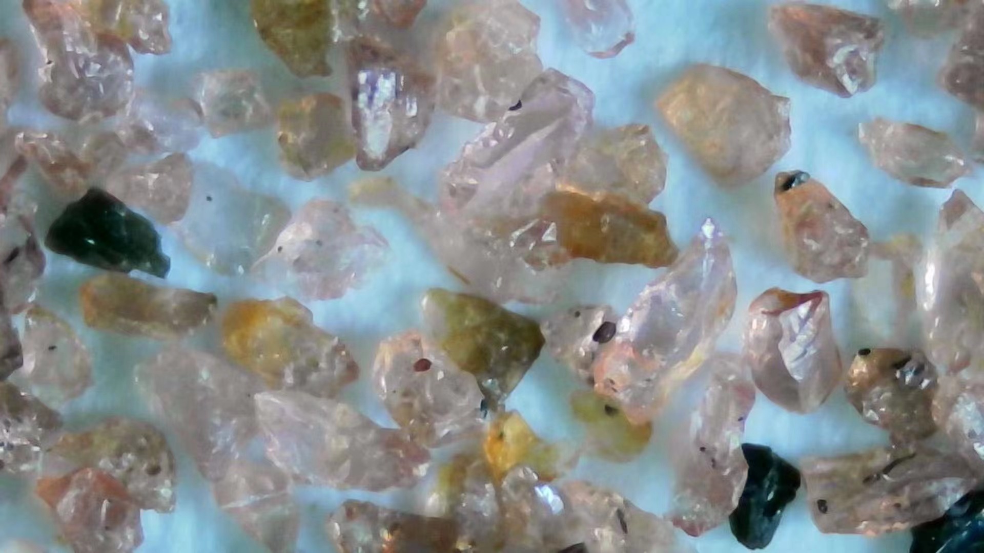 Make The Right Cut with Garnet