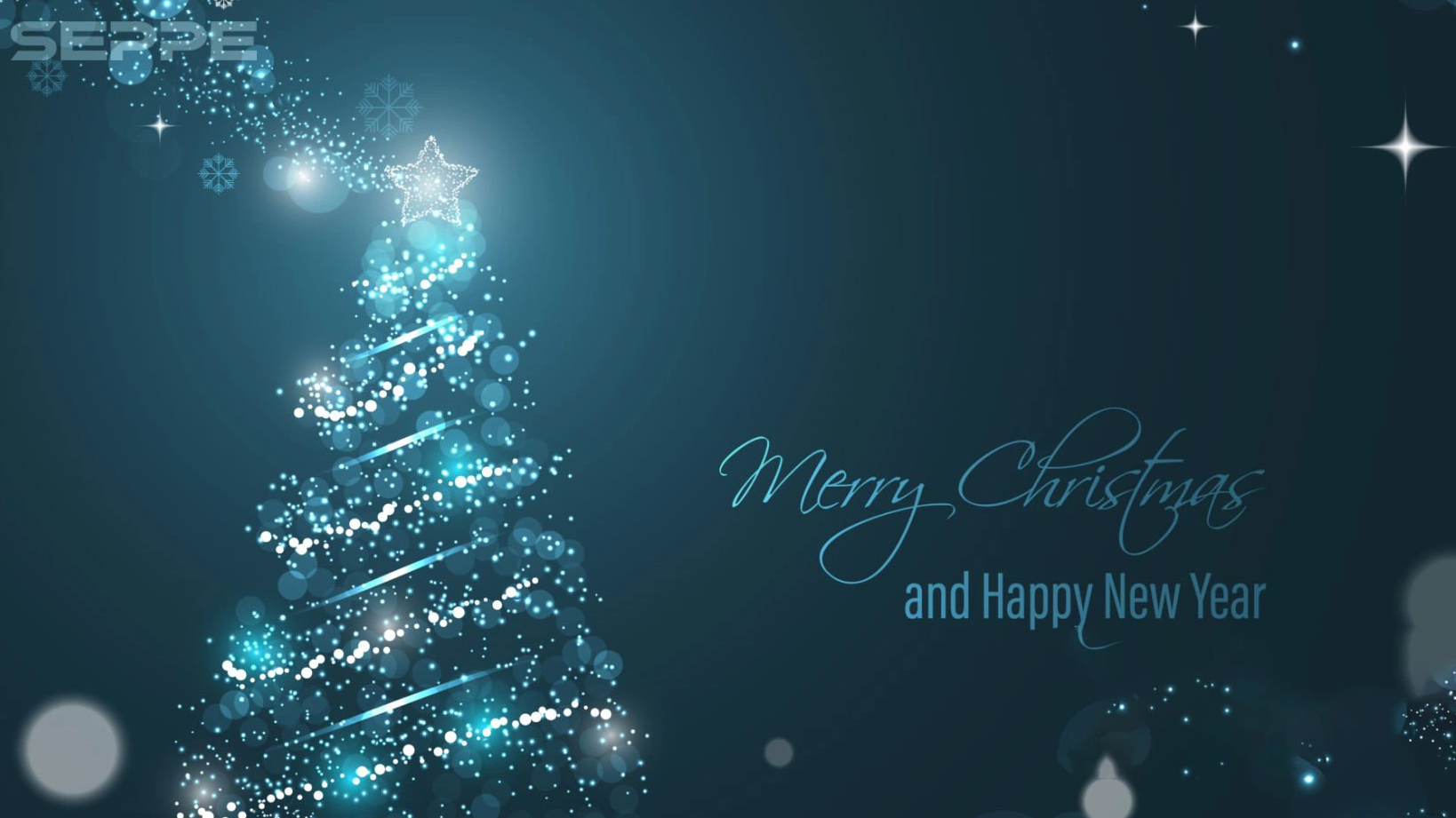 Merry Chrismas and Happy New Year 2024