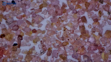Garnet details 1.jpg